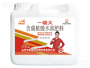 һ󺬸ֲˮܷ-ƹʯ-еr