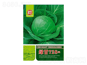 {(ln)N-G728-Sr(nng)I(y)