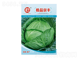 {(ln)N-S-Sr(nng)I(y)