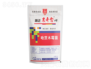 ľù-r(nng)4̖(ho)-r(nng)