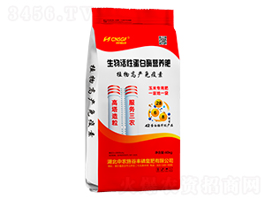 ԵøI(yng)B(yng)ʣ40kg-r(nng)ʩS