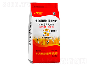 ԵøI(yng)B(yng)ʣጵ10-r(nng)ʩS