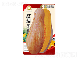 ϹϷN-t\(yn)۱Ϲ-̫(l)NI(y)