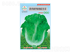 ˷N-ļ͟ͳ̦-̫NI(y)