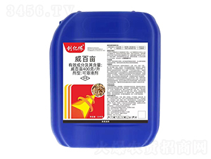 400/ٮ-(chung)|z-ĳǿƄ(chung)