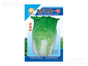 ײ˷N-̫֮һ̖Ʒ-̫NI(y)