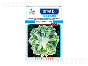 ׻Ҭ˷N-ѩ100-̫NI(y)