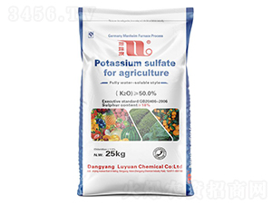 25kgr(nng)I(y)-Ȫ-AF(tun)