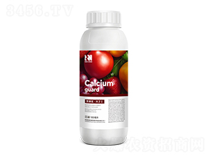 ЙCҺwǴ}-}l(wi)ʿ-PِZ