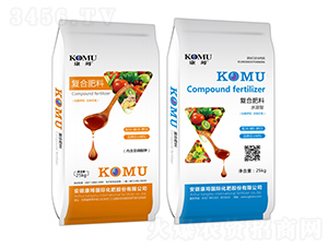 KOMUͺϷ-Sr(nng)I(y)