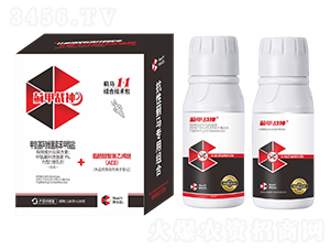 ERMϼg(sh)-Eב(zhn)-Ȥr(nng)r(nng)I(y)