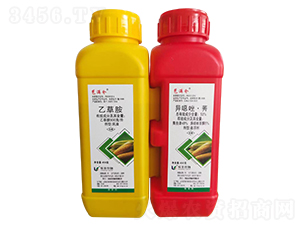 900/Ҳݰ+53%fݬҸ-M}-P