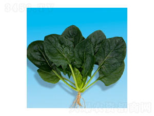 ˷N-孲4̖-A孷NI(y)