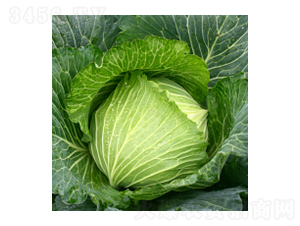 {(ln)N-{(ln)-A孷NI(y)