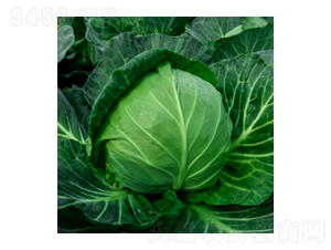 {(ln)N-學317-A孷NI(y)