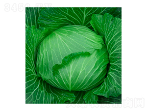 {(ln)N-學316-A孷NI(y)