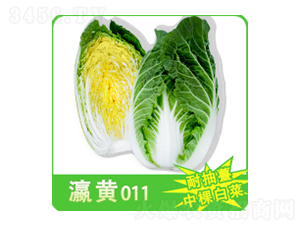 ײ˷N-S011-A孷NI(y)