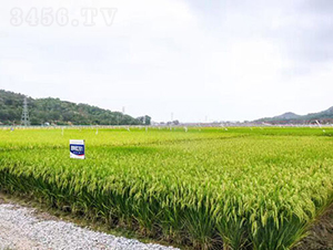 Ƀ(yu)28-ˮN-𽡷NI(y)