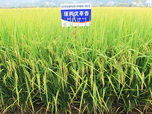 誃Ƀ(yu)-ˮN-𽡷NI(y)