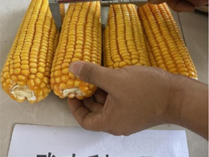 r(nng)1̖-׷N-SNI(y)