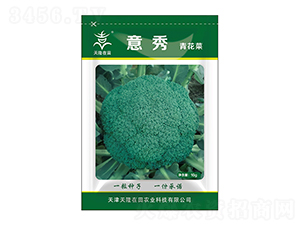 ໨˷N--¡r(nng)I(y)