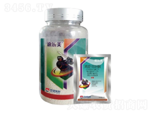 80%ϩडͪˮɢ-٘-