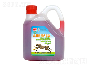 41%ݸ좮}sͣ-ݼ{˹-V|r(nng)