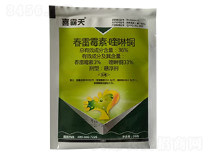 36%ùء~Ҹ-ϲ-¹چ̵