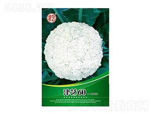 ˷N-ˇ60-Sr(nng)I(y)