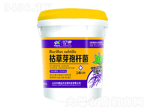 ݲѿߗU-120-еr(nng)