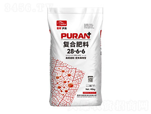 ʧ͏ͺϷ28-6-6-۶ʩ